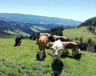 Kärnten - Staudachhof - Urlaub am Bauernhof - Guttaring