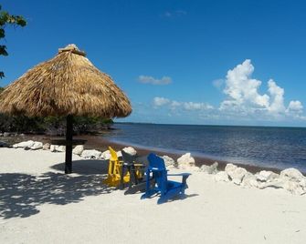 3bed vacation ocean side townhome 2pools,marina,lagoon,golf cart,bikes,kayaks - Key Largo - Strand