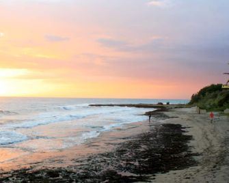 Spectacular views of the Caribbean Sea await you in this bright, airy home. - Treasure Beach - Beach