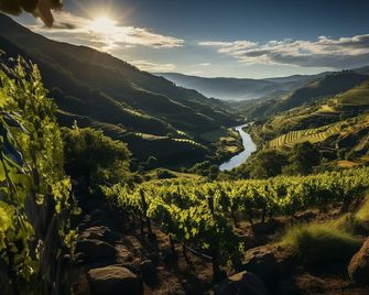 Torel Quinta da Vacaria - Douro Valley - Peso da Régua - Outdoor view