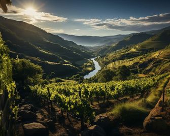 Torel Quinta da Vacaria - Douro Valley - פזו דה רגואה - נוף חיצוני