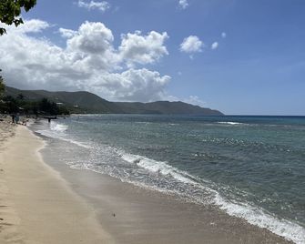 Luxury Beachfront Condo with Pool and Hot Tub - Christiansted - Beach