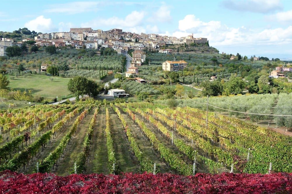 Agriturismo La Pietriccia - Chianciano Terme - Udsigt
