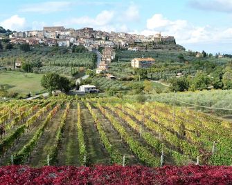 Agriturismo La Pietriccia - Chianciano Terme - Außenansicht