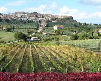Agriturismo La Pietriccia - Chianciano Terme - Udsigt