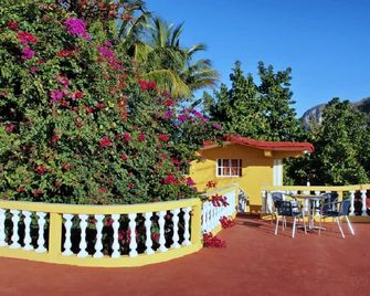 Hostal Palmarito - Viñales - Patio