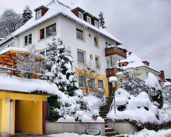 Hotel-Pension Ursula - Bad Sachsa - Gebouw