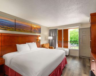 Days Inn by Wyndham Knoxville East - Knoxville - Chambre