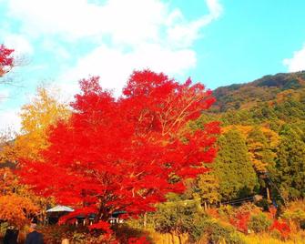 Homey Inn Enya - Yufu - Outdoor view