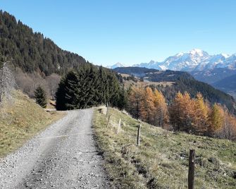 Le Montblanc Flumet - Flumet - Outdoors view