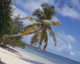 White Tern Maldives - Dhidhdhoofinolhu - Strand