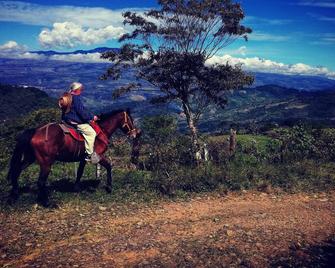 Best immersion experience in a Farm at Finca Queveri - Orosí