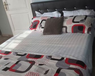 Phoenix Lodge - Accra - Bedroom