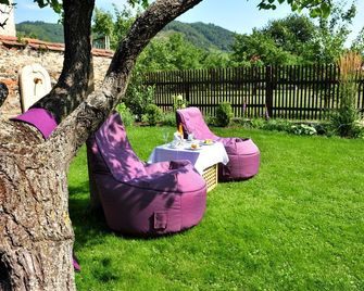 Renaissancehotel Raffelsberger Hof - Weissenkirchen in der Wachau - Patio