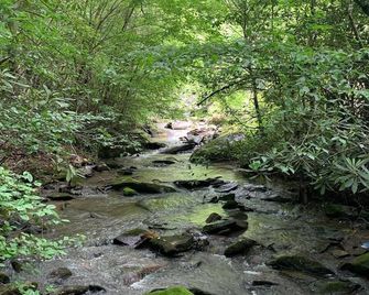 The Perch Glamping By Rafting - Cosby - Outdoors view