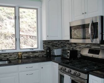 Harborside Grand Haven - Remodeled 4 Bedroom Cottage on Lake Michigan - Grand Haven - Kitchen