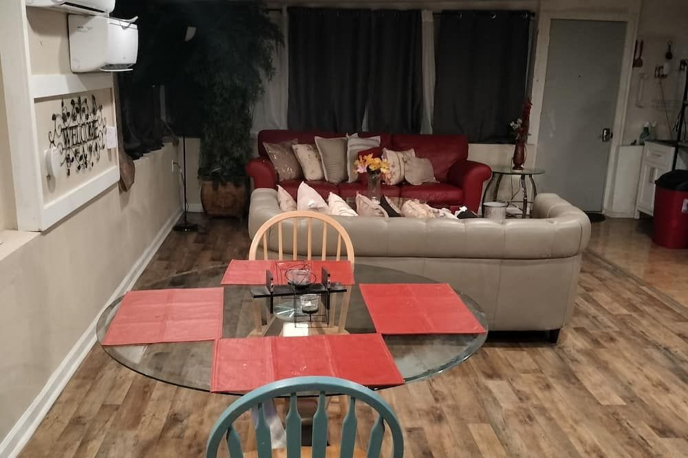 Adorable Spacious Apt with Private Entrance Close to Downtown Dallas - Dallas - Living room