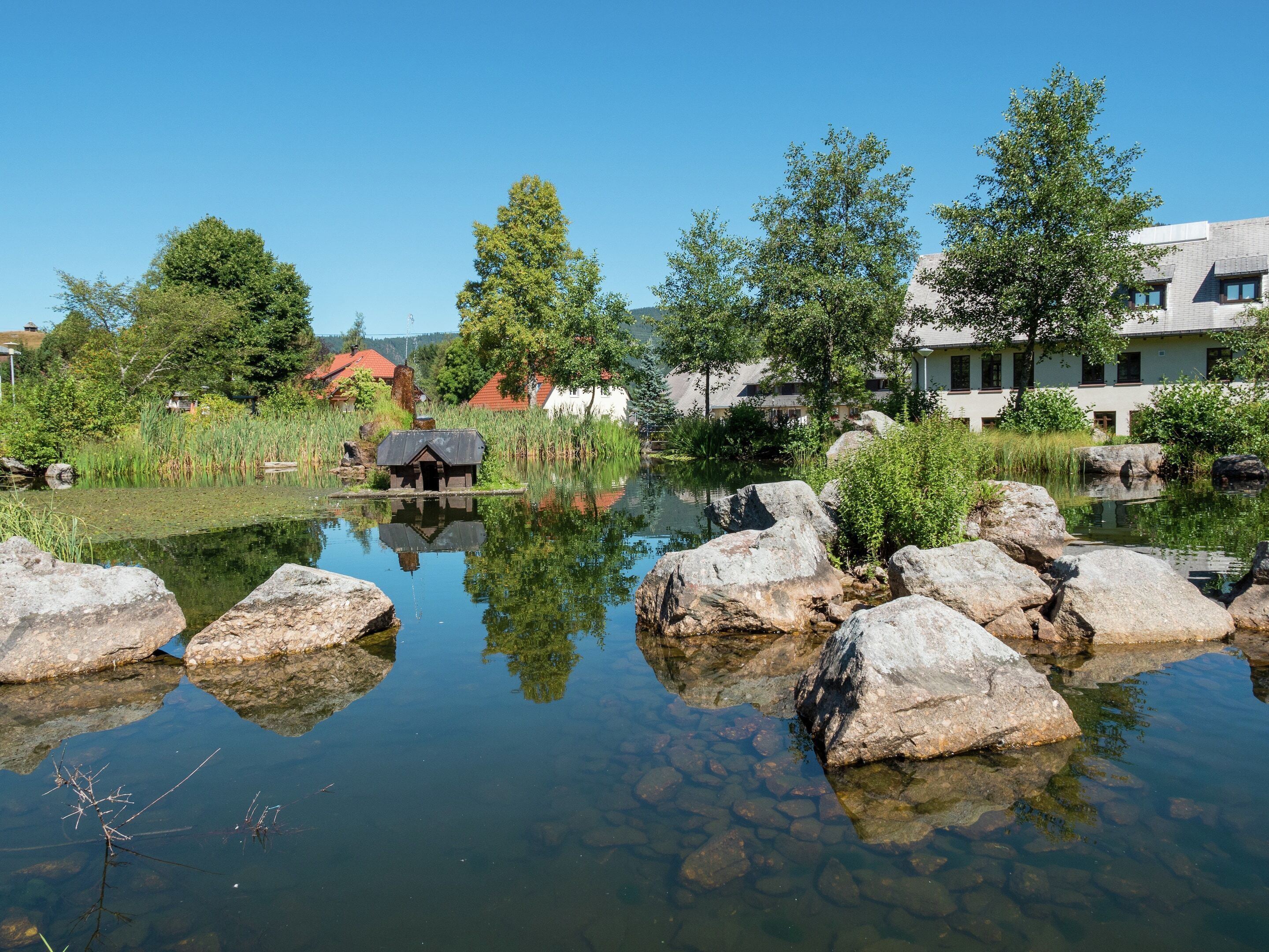 Ferienwohnung, Bernau - Bernau im Schwarzwald - Vista esterna