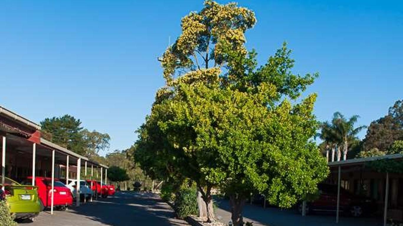 Angaston Vineyards Motel