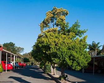 Angaston Vineyards Motel - אנגסטון - נוף חיצוני