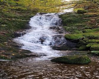 Ronds Chetys - Chalet - Ventron - Extérieur