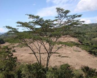 Paradise, beauty and comfort in a rural place - Chiquinquirá