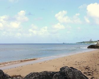 Garden - Sea views - Speightstown - Plaj