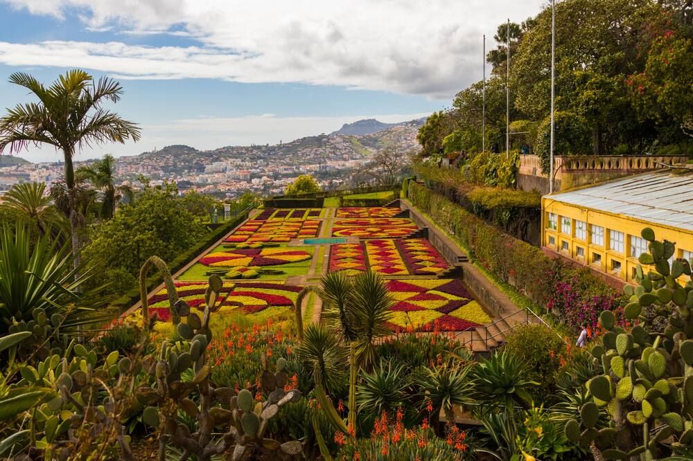 Dorisol Estrelicia Hotel - Funchal - Außenansicht