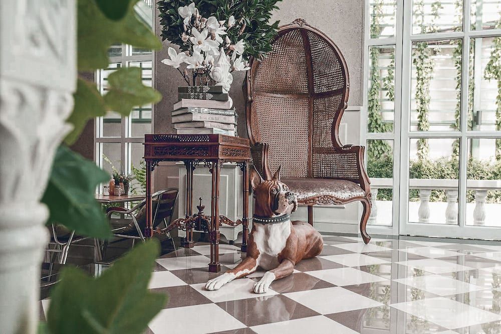 كلوب تري هوتل