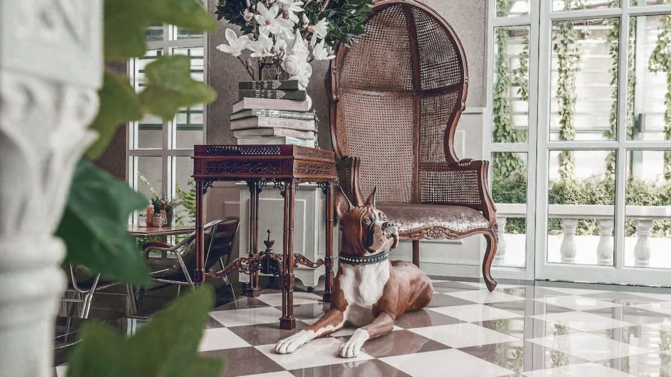 كلوب تري هوتل