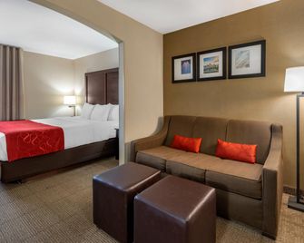 Comfort Suites Highlands Ranch Denver Tech Center Area - Highlands Ranch - Schlafzimmer