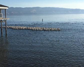 Hermosa Clear Lake 3,000 sq feet spacious on the water. - Lakeport - Outdoors view