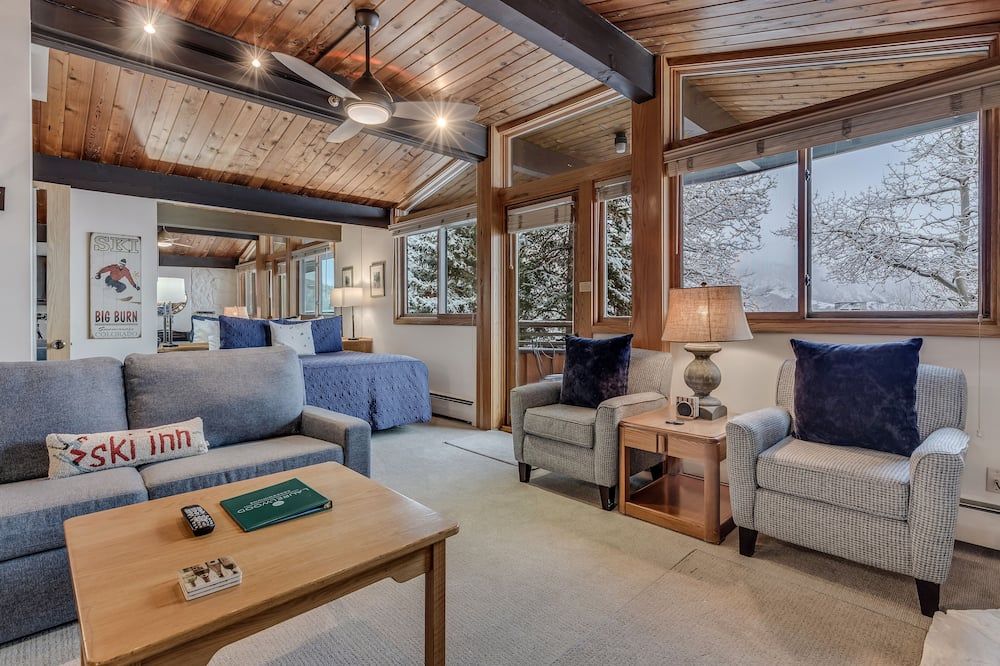 Laurelwood Condominiums 112 - Snowmass Village - Wohnzimmer