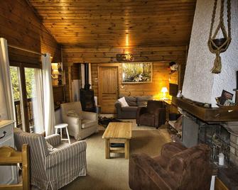 A Family Chalet In The Heart Of The High Vosges - Basse-sur-le-Rupt - Sala de estar
