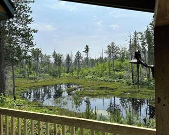 Orv/Atv/4x4 Access Only. Remote. Camping In A Cabin. Rustic. - Newberry