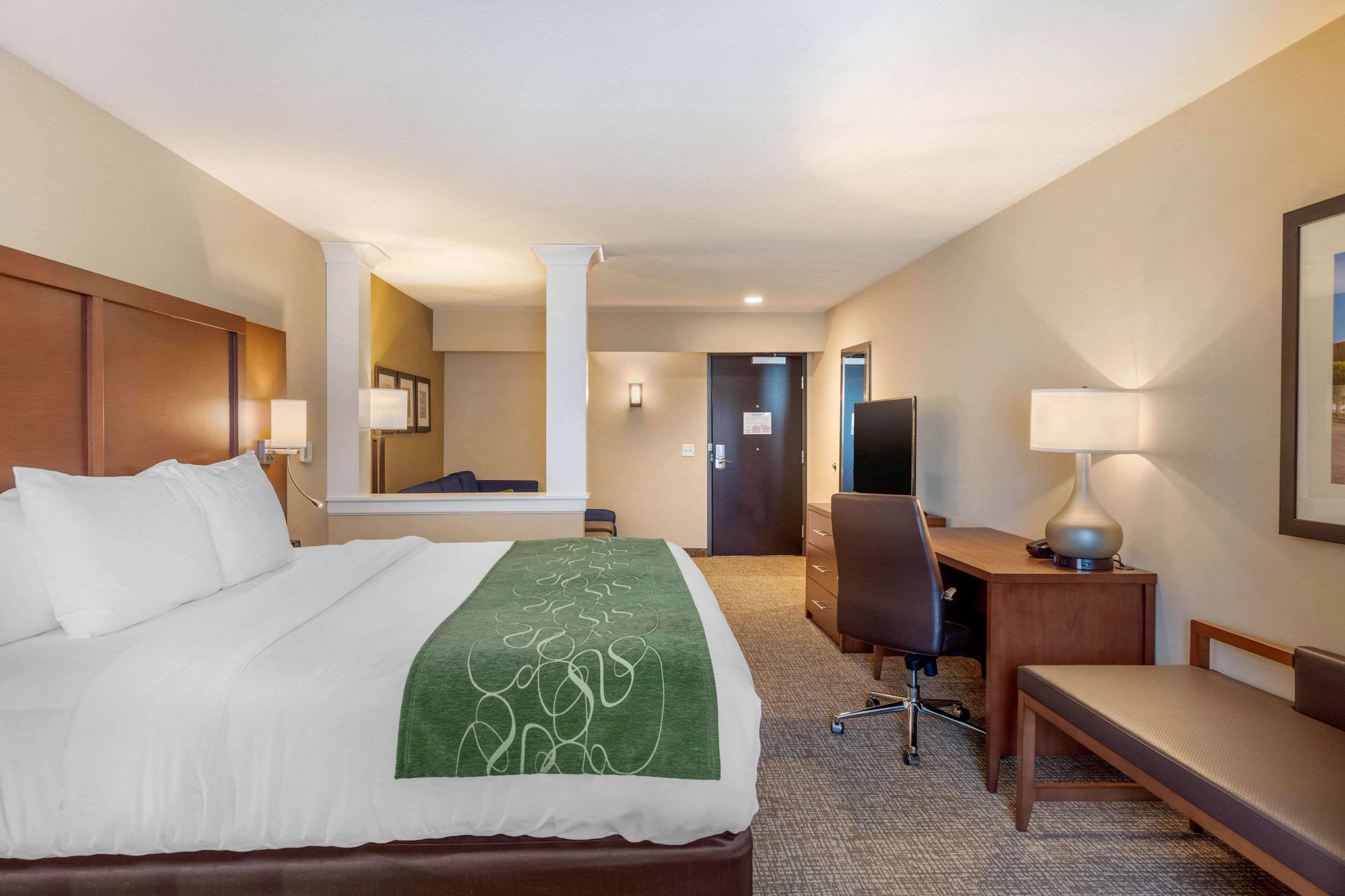 Comfort Inn & Suites Schenectady -Scotia - Schenectady - Ložnice