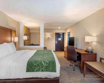 Comfort Inn & Suites Schenectady -Scotia - Schenectady - Ložnice