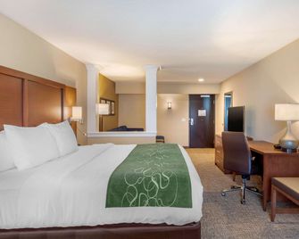 Comfort Inn & Suites Schenectady -Scotia - Schenectady - Ložnice