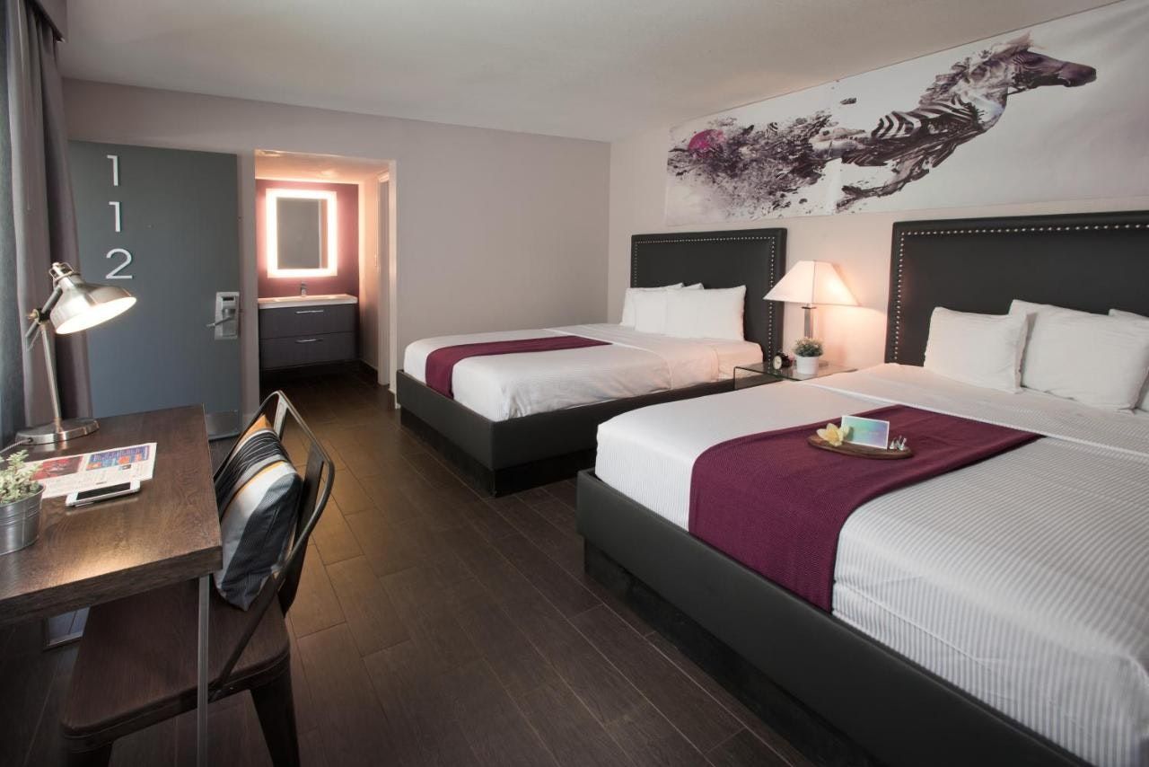 Hotel Iris - San Diego - סן דייגו - חדר שינה