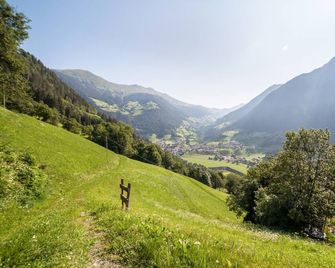 Innergasserhof Ferienwohnung Edelweiss - St. Martin in Passeier