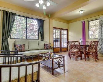 Lower Level of a New Home in a Great Neighborhood w/ WiFi, AC - Near Maya ruins - San Ignacio - Sala de estar