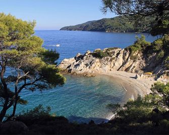 Finikas Garden Beach Resort Nikiti - Nikiti