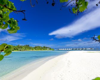 Ithaa Beach Maldives - Guraidhoo - Strand