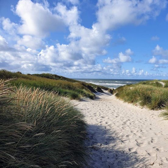 Peaceful Holiday Home in Jutland near Sea – Hvide Sande