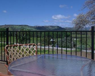 Talahi Ranch Retreat, king bed, twin bed, bath, mini frig, microwave and TV. - Clovis - Balcony
