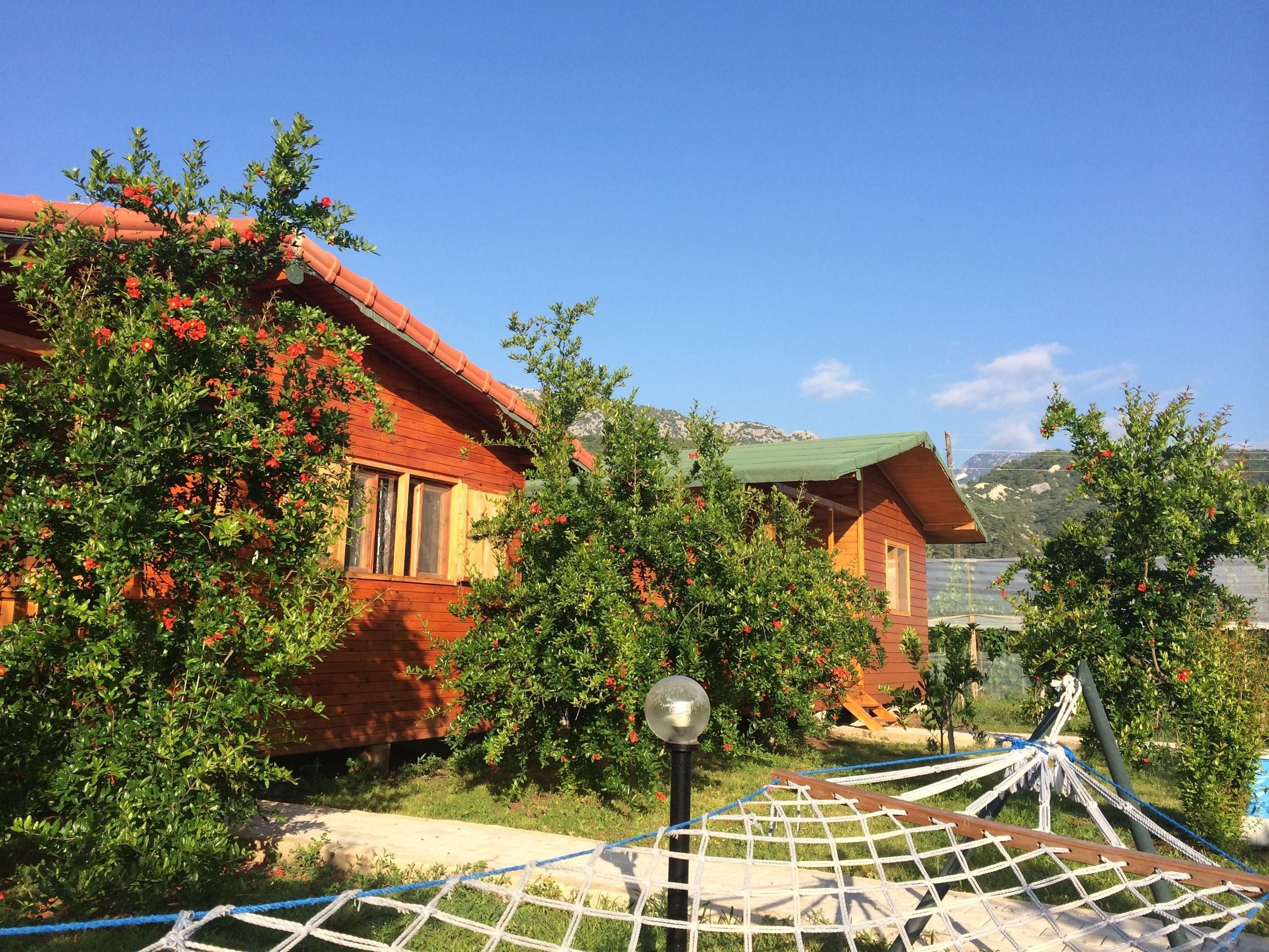 Yildiz Pension Bungalows - Cirali - Venkovní prostory