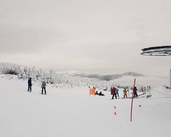 Snowbrook: Ski in/out access with pool, hot-tub, and sauna for après ski! - Kingfield - Annehmlichkeit