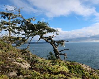 Social Distancing At Its Finest - Sooke - Strand