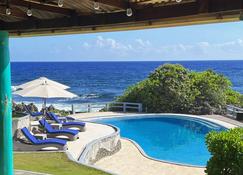 Villa D Luxury Seaside - Guiuan - Pool