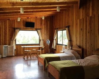 Complejo Turistico Pucon - Pucón - Kamar Tidur